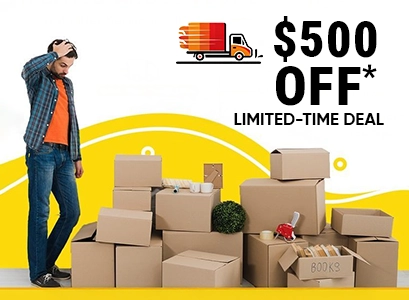 Affordable Pest Control